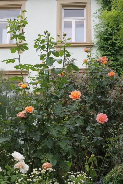 Maison Mille Fleurs Apartment Sankt Julian Exterior photo